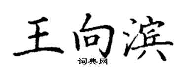 丁謙王向濱楷書個性簽名怎么寫