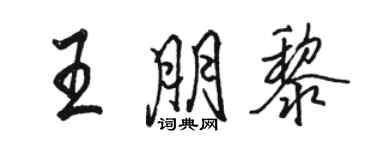 駱恆光王朋黎行書個性簽名怎么寫