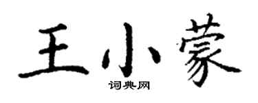 丁謙王小蒙楷書個性簽名怎么寫