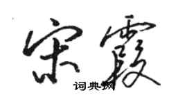 駱恆光宋霞行書個性簽名怎么寫