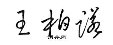 駱恆光王柏諾草書個性簽名怎么寫