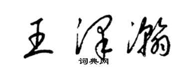 梁錦英王澤瀚草書個性簽名怎么寫