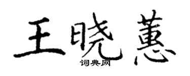 丁謙王曉蕙楷書個性簽名怎么寫