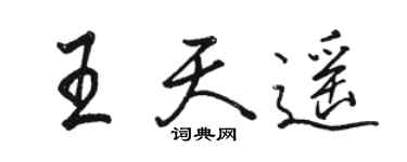 駱恆光王天遙行書個性簽名怎么寫