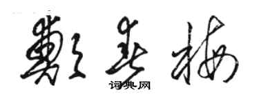 駱恆光鄭春梅草書個性簽名怎么寫