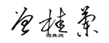 駱恆光曾桂蘭草書個性簽名怎么寫