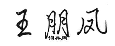 駱恆光王朋鳳行書個性簽名怎么寫