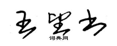 朱錫榮王望書草書個性簽名怎么寫