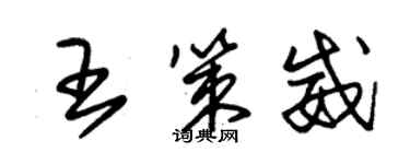 朱錫榮王策威草書個性簽名怎么寫