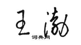 駱恆光王渤草書個性簽名怎么寫