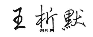 駱恆光王析默行書個性簽名怎么寫