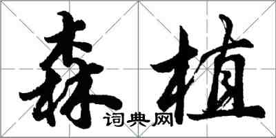 胡問遂森植行書怎么寫