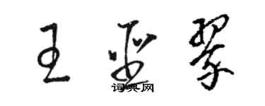 駱恆光王聖翠草書個性簽名怎么寫