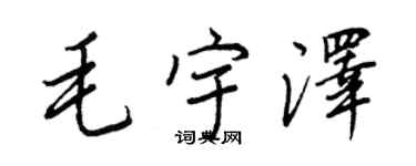 王正良毛宇澤行書個性簽名怎么寫