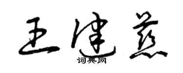 曾慶福王健慈草書個性簽名怎么寫