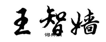 胡問遂王智嬙行書個性簽名怎么寫