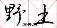 野丈人的意思_野丈人的解釋_國語詞典