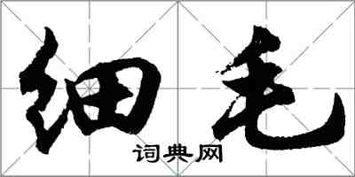 胡問遂細毛行書怎么寫