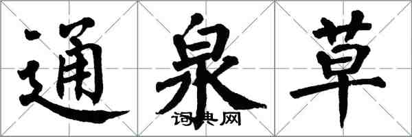 翁闓運通泉草楷書怎么寫