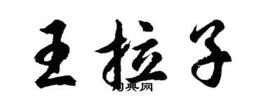 胡問遂王拉子行書個性簽名怎么寫