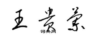 梁錦英王貴蘭草書個性簽名怎么寫