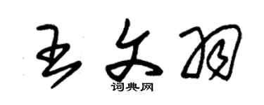 朱錫榮王文羽草書個性簽名怎么寫