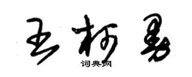 朱錫榮王柯曼草書個性簽名怎么寫