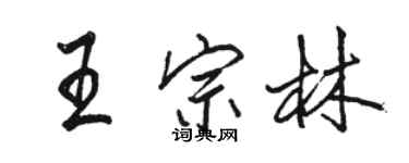 駱恆光王宗林行書個性簽名怎么寫