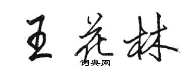 駱恆光王花林行書個性簽名怎么寫