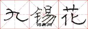 駱恆光九錫花隸書怎么寫