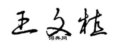 曾慶福王文植草書個性簽名怎么寫