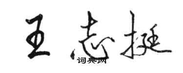 駱恆光王志挺行書個性簽名怎么寫