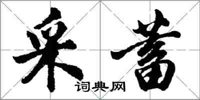 胡問遂采蓄行書怎么寫