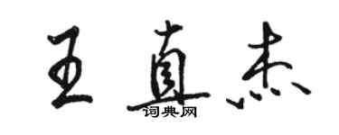 駱恆光王直傑行書個性簽名怎么寫