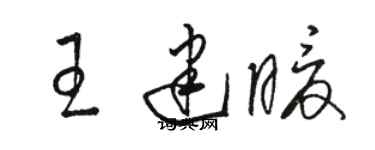 駱恆光王建暖草書個性簽名怎么寫
