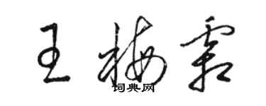 駱恆光王梅霜草書個性簽名怎么寫