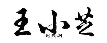 胡問遂王小芝行書個性簽名怎么寫