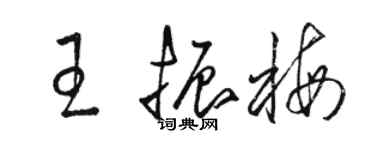 駱恆光王振梅草書個性簽名怎么寫