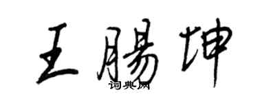 王正良王腸坤行書個性簽名怎么寫