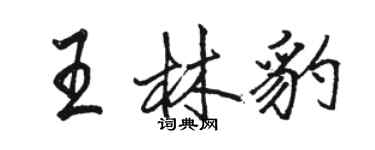 駱恆光王林豹行書個性簽名怎么寫