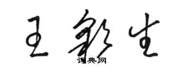 駱恆光王彩生草書個性簽名怎么寫