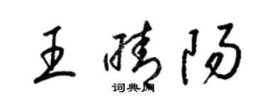 梁錦英王晴陽草書個性簽名怎么寫