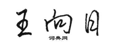 駱恆光王向日行書個性簽名怎么寫