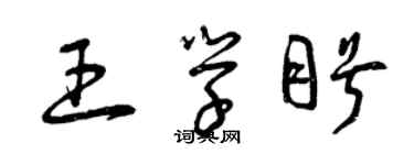 曾慶福王學盼草書個性簽名怎么寫