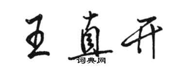 駱恆光王直開行書個性簽名怎么寫