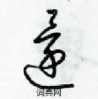 梁錦英寫的硬筆草書還