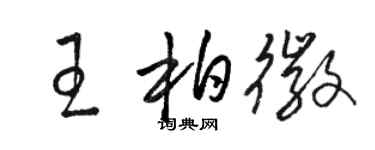 駱恆光王柏徽草書個性簽名怎么寫