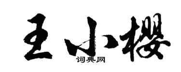 胡問遂王小櫻行書個性簽名怎么寫