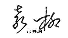 駱恆光袁柳草書個性簽名怎么寫