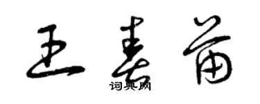 曾慶福王春苗草書個性簽名怎么寫